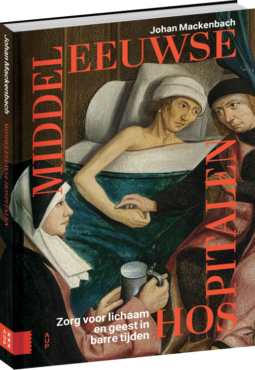 DEF cover 3D_cover_Middeleeuwse_Hospitalen