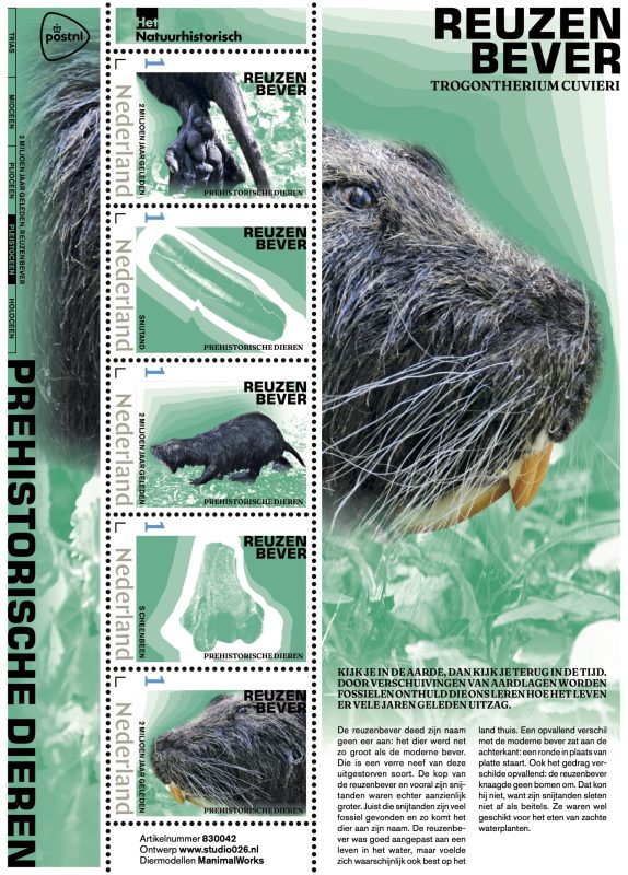 PREHISTORISCHE DIEREN SERIE VEL11